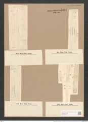 Synedra affinis var. tabulata (Ag.) V. H. (de-Toni-Nr.: Genus 66, Species 2607) Zeichnungen Sammlung Grunow Nr. 5341 (NHMW-BOT-W0373745)